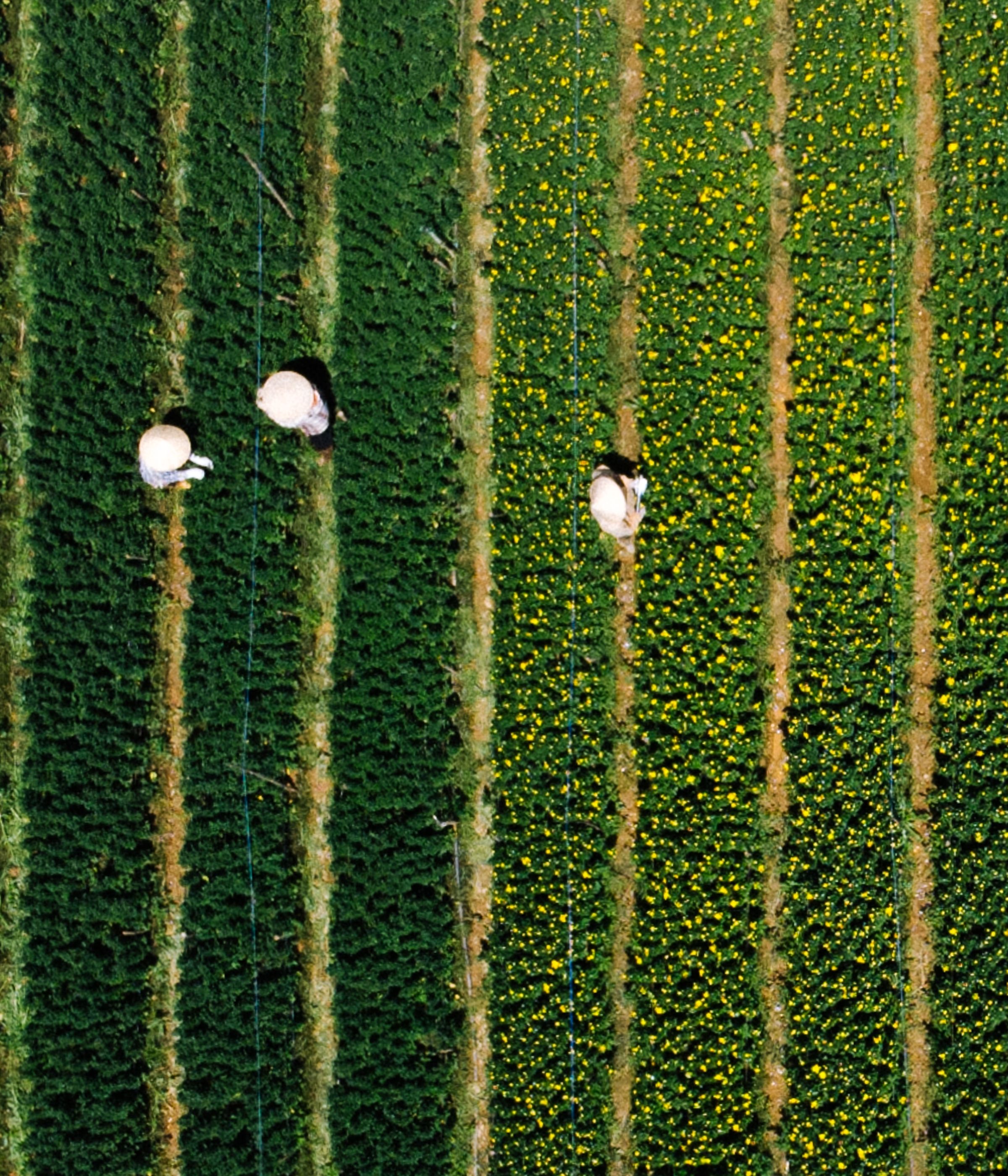 Inside The Local Latte, where each drink is prepared by hand